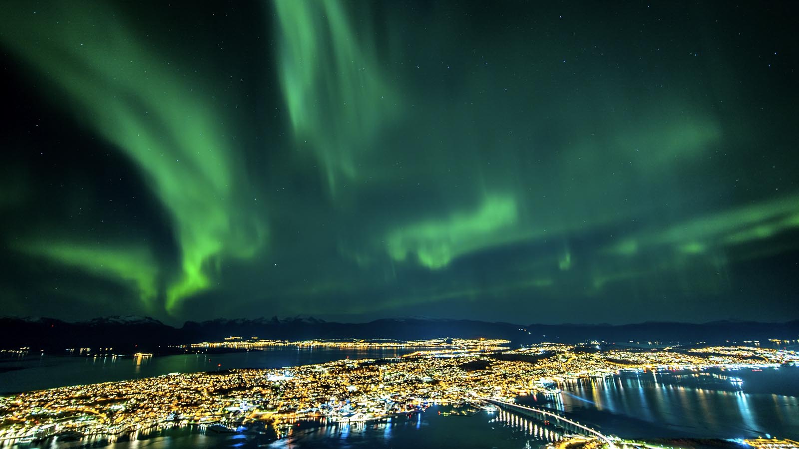 Stiftelsen Tromsø International School logo